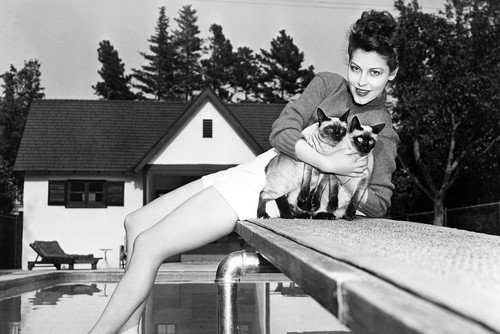 Ava Gardner with siamese cats. 