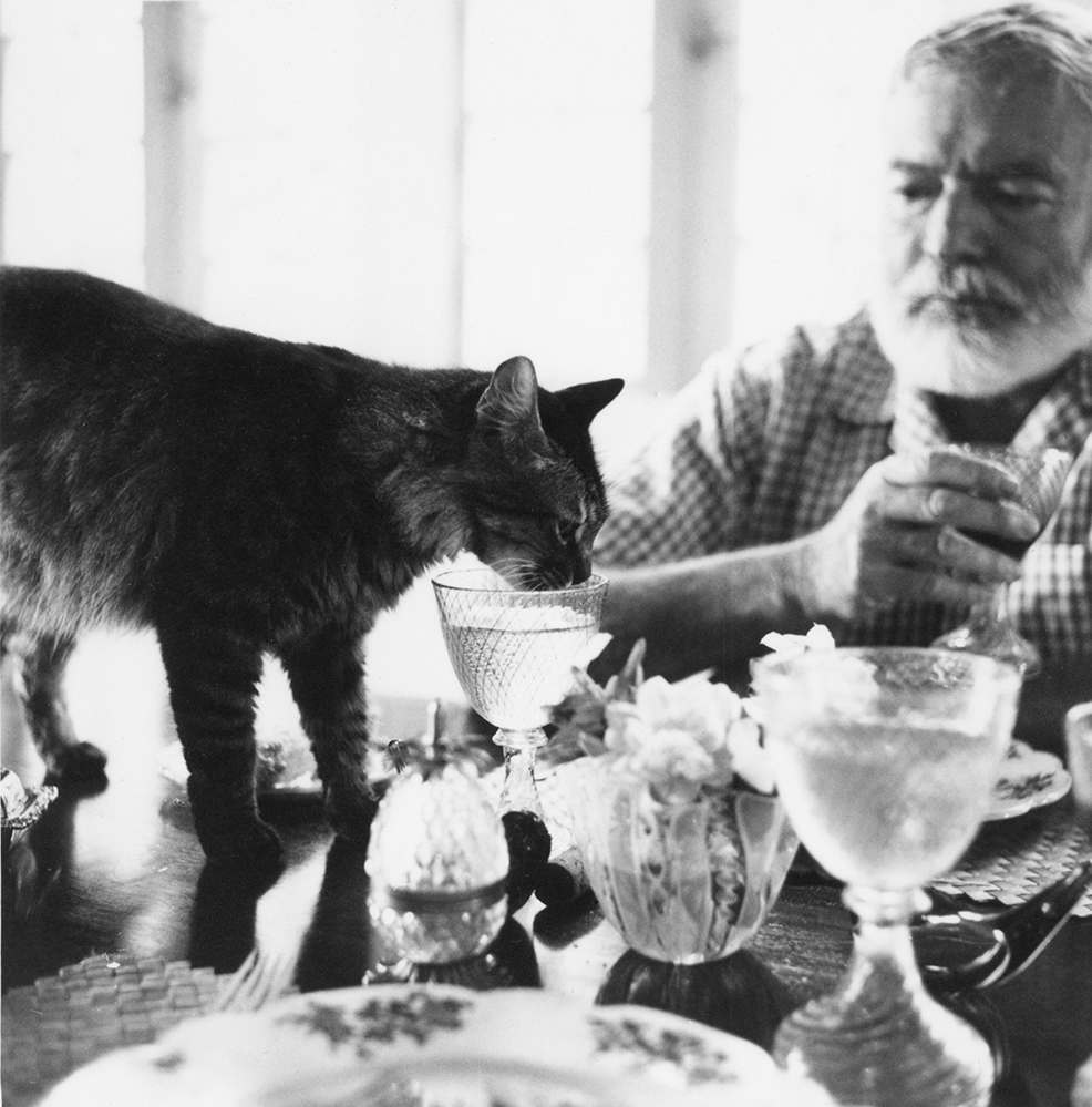 Ernest Hemingway with a cat