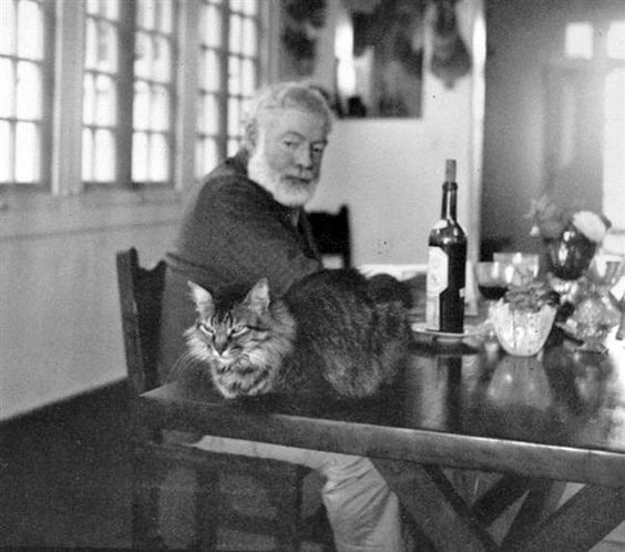 Ernest Hemingway with a cat and bottle of wine. 