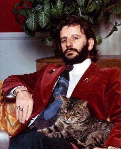 Ringo Starr with a cat