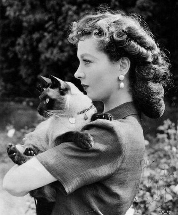 Vivien Leigh with her siamese cat