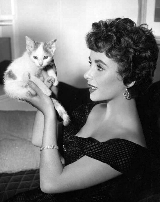 Elizabeth Taylor with a kitten. 