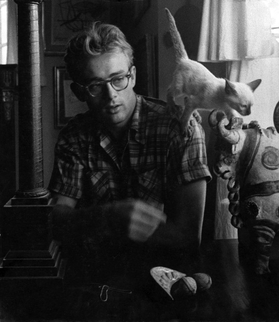 James Dean and his siamese cat, Marcus. 