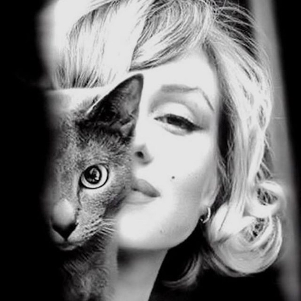 Marilyn Monroe with a cat